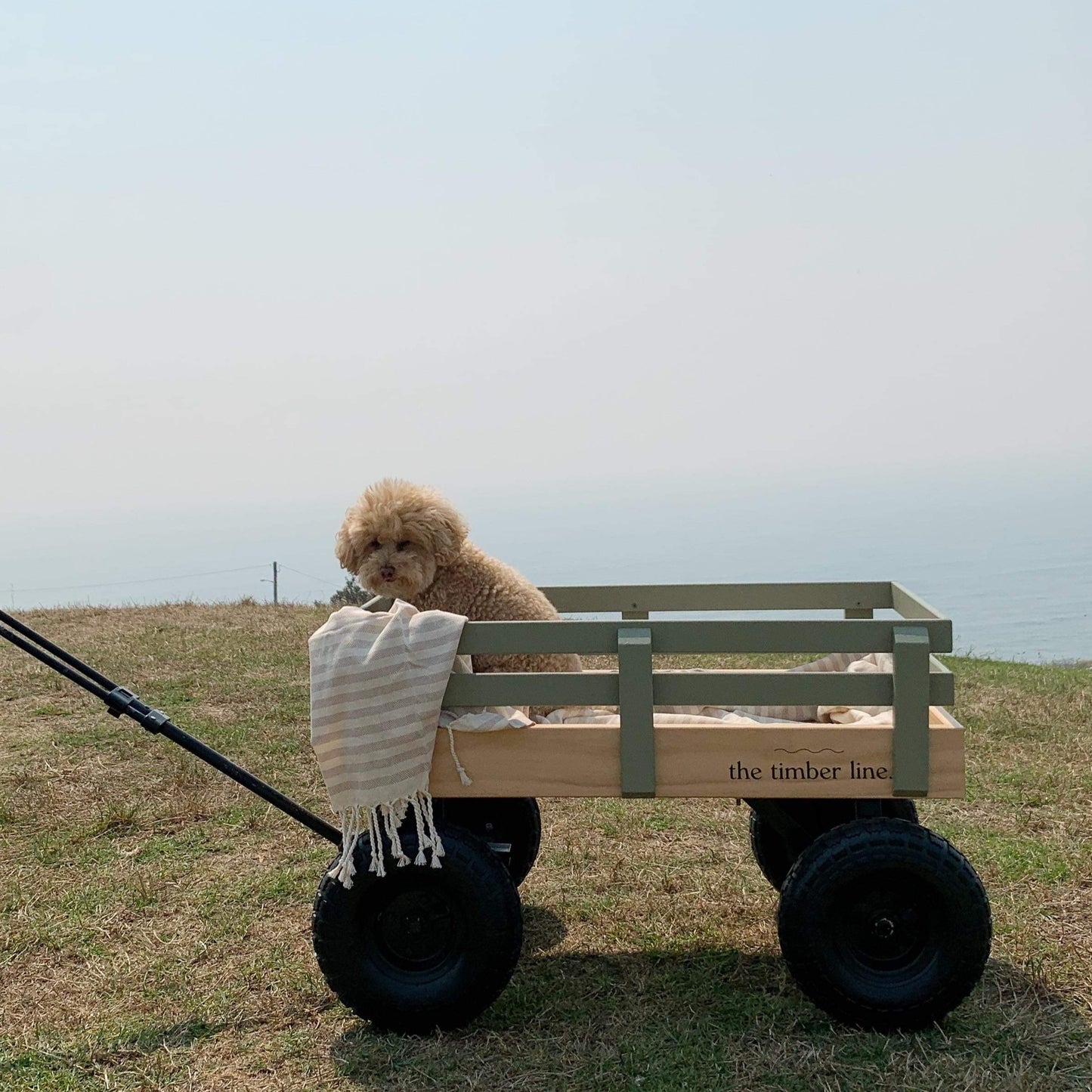 beach cart