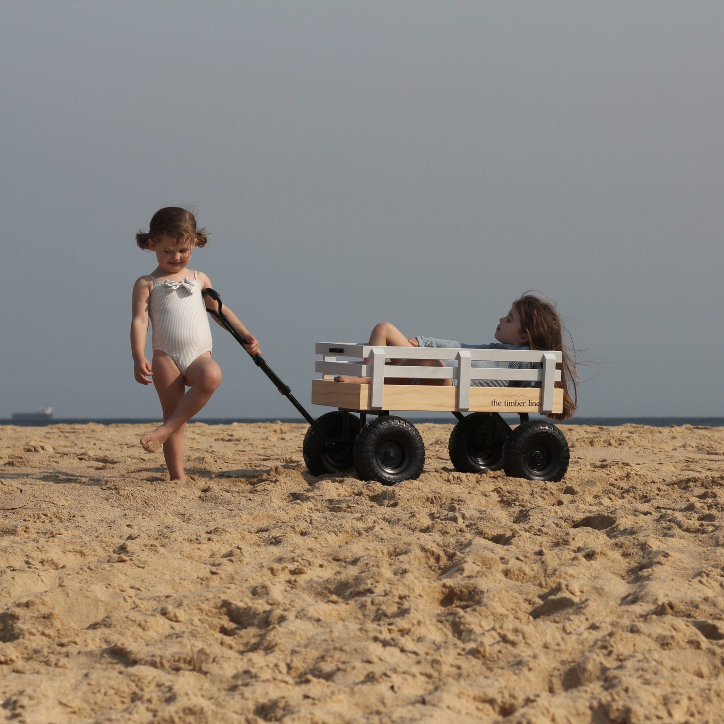 Buggy in Flipper