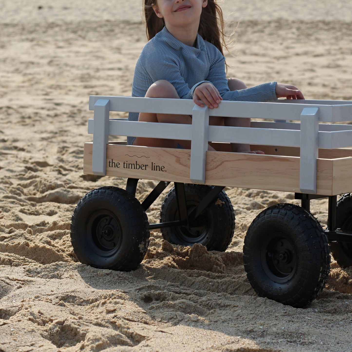 Buggy in Flipper