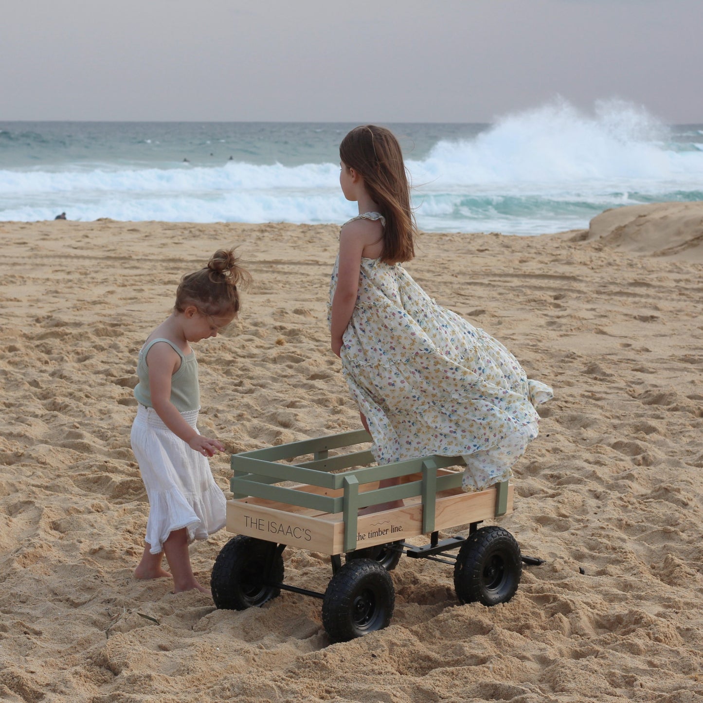 Beach Cart