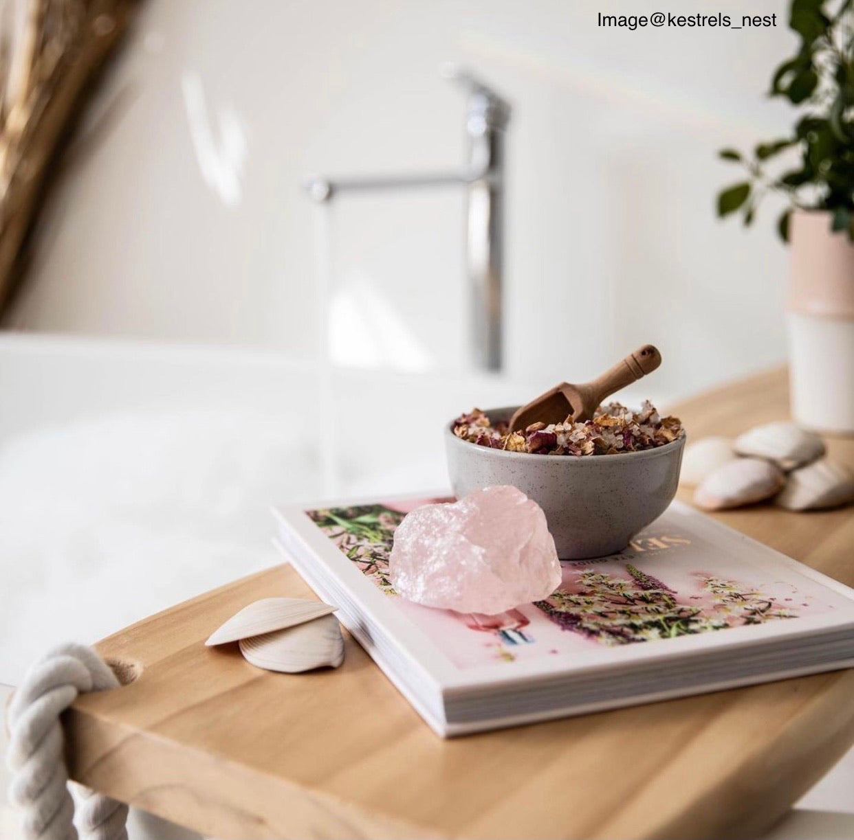 Buy Wood Bath Caddy