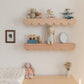 Scallop Shelf