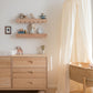 Scallop Shelf
