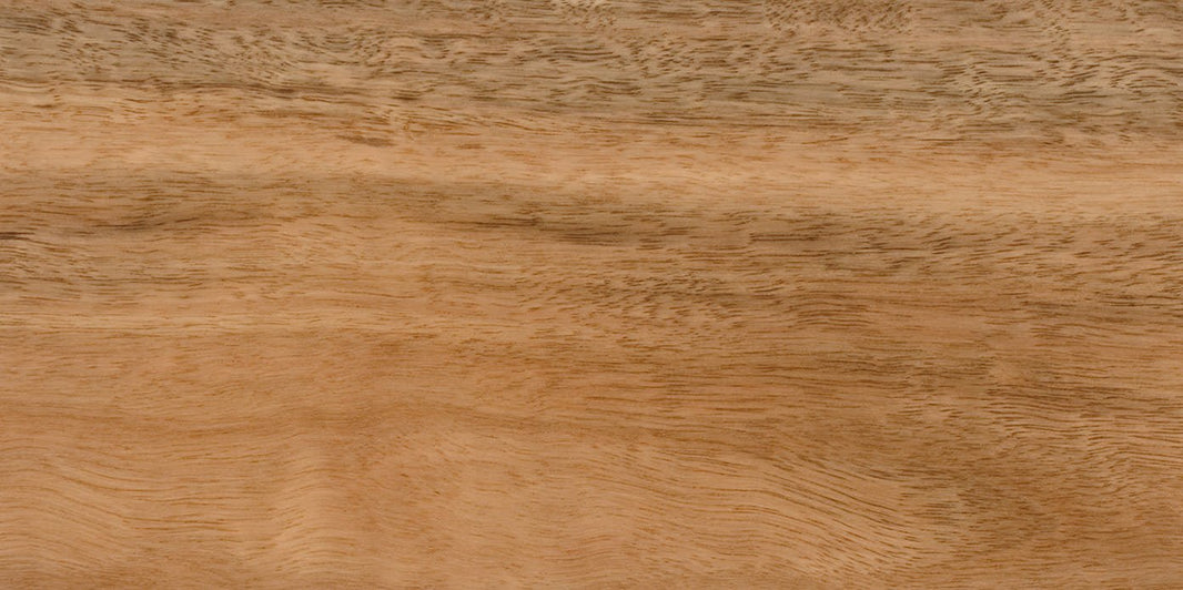 Samples – The Timber Line