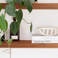 Floating Shelf (BLACKWOOD)