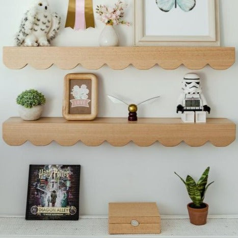 Scallop Shelf